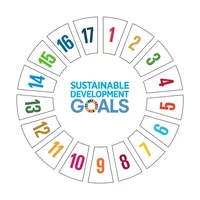 Impact 12 UN Sustainable Development Goals 