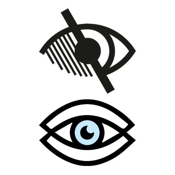 Vision