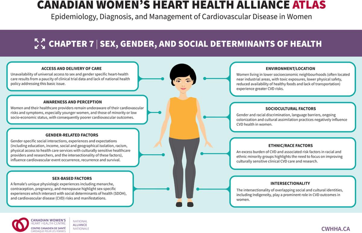 Chapter 7 Sex, Gender, and the Social Determinants of Health