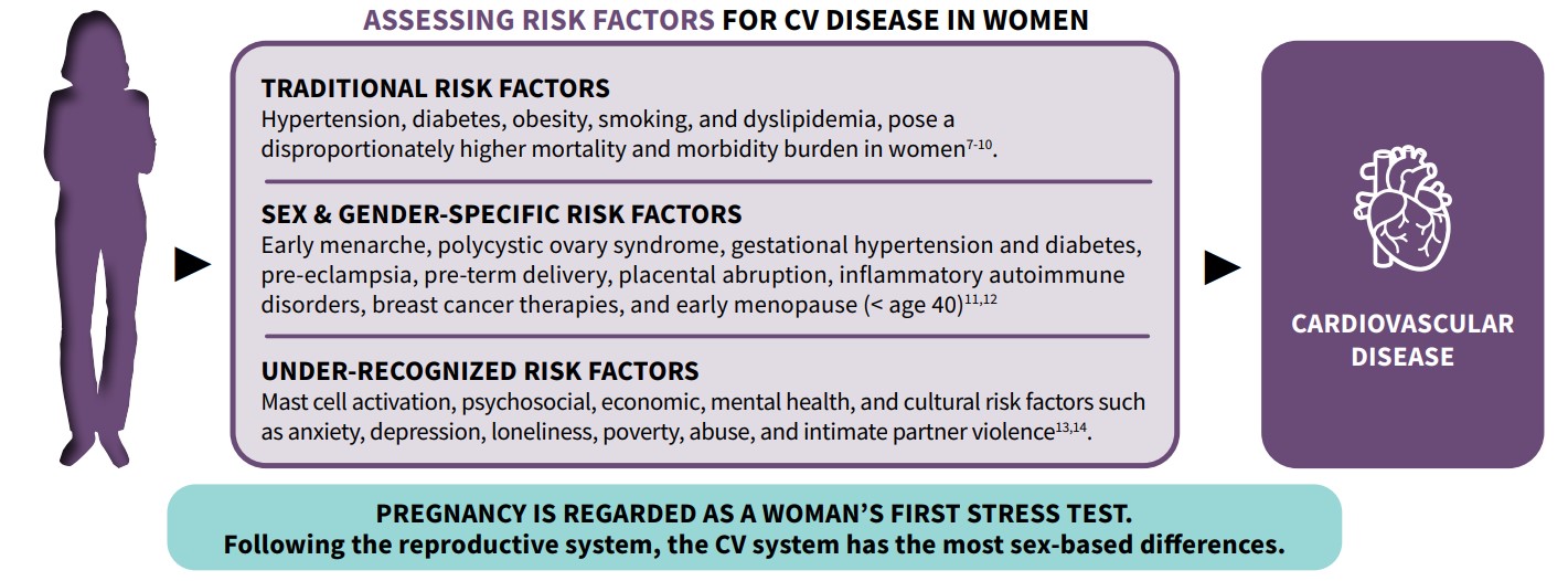 Assessing Risk Factors for CV Disease in Women