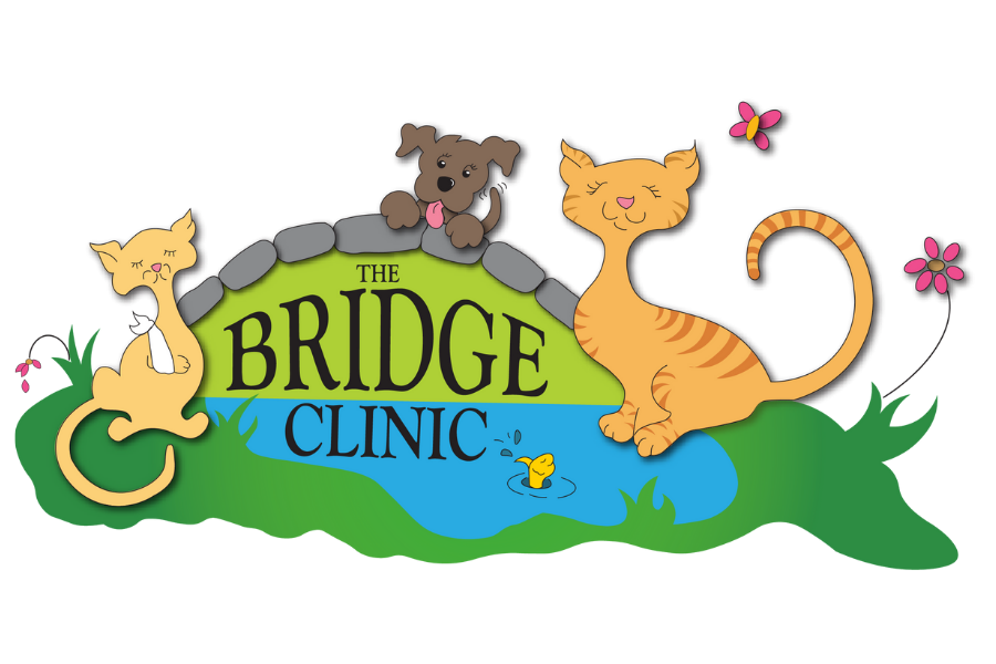 My Cart — The Bridge Clinic