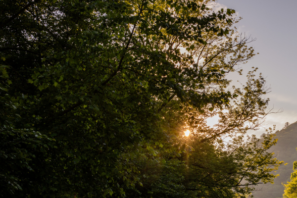 Image description here.