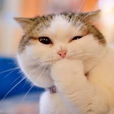 Image description here.