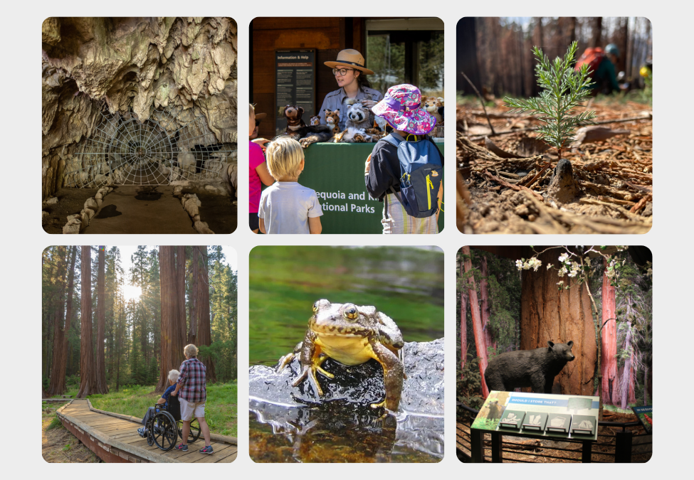 Image description here.