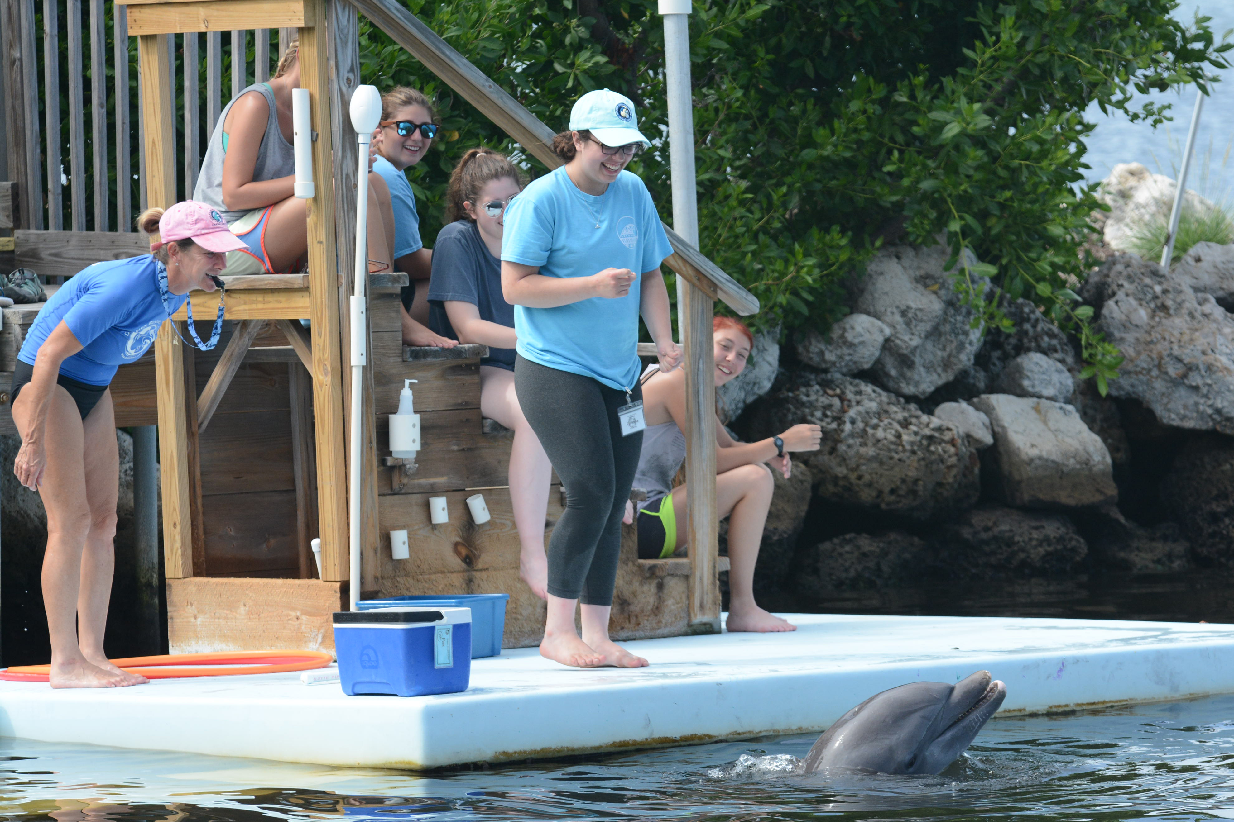 Image description here.