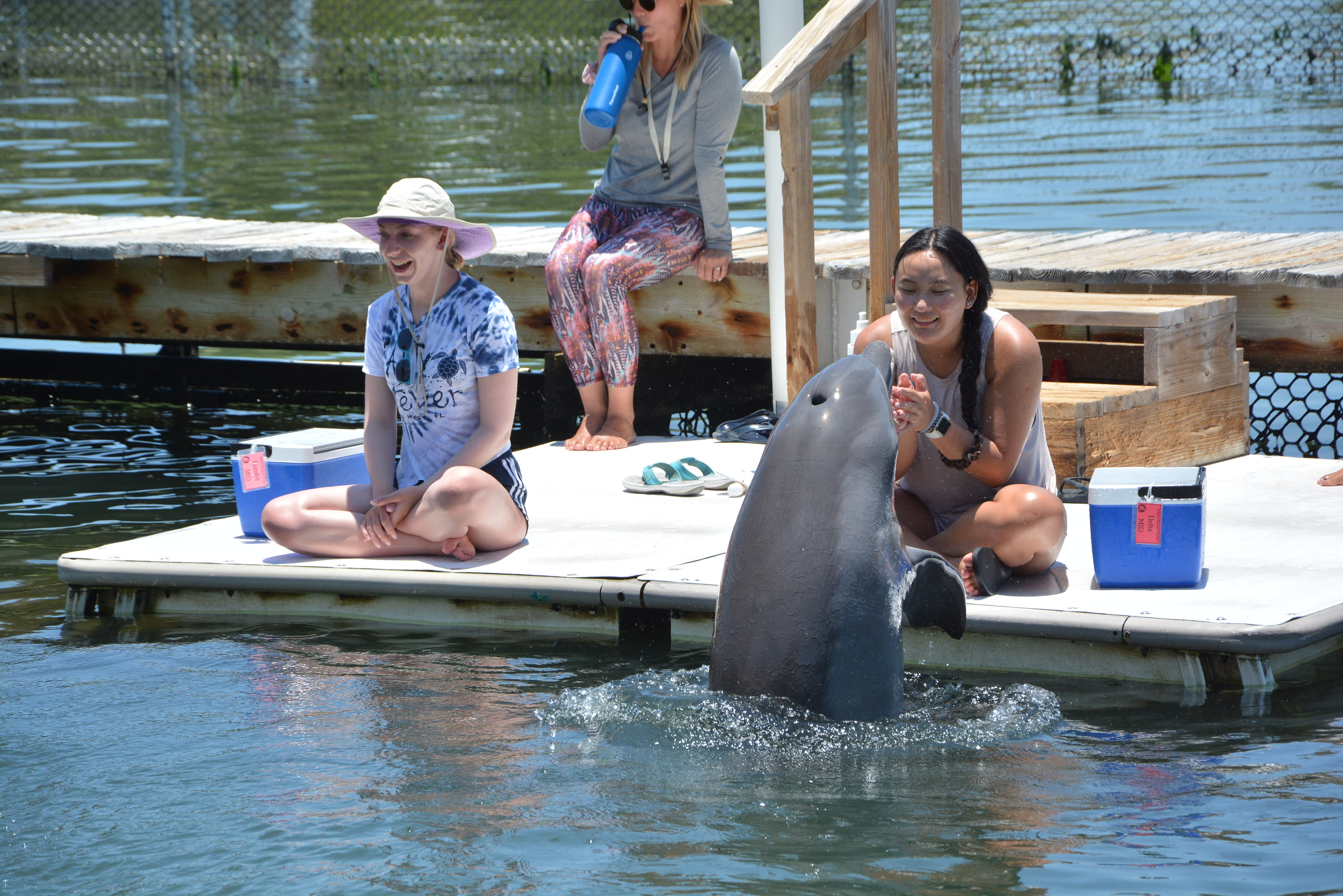 Image description here.