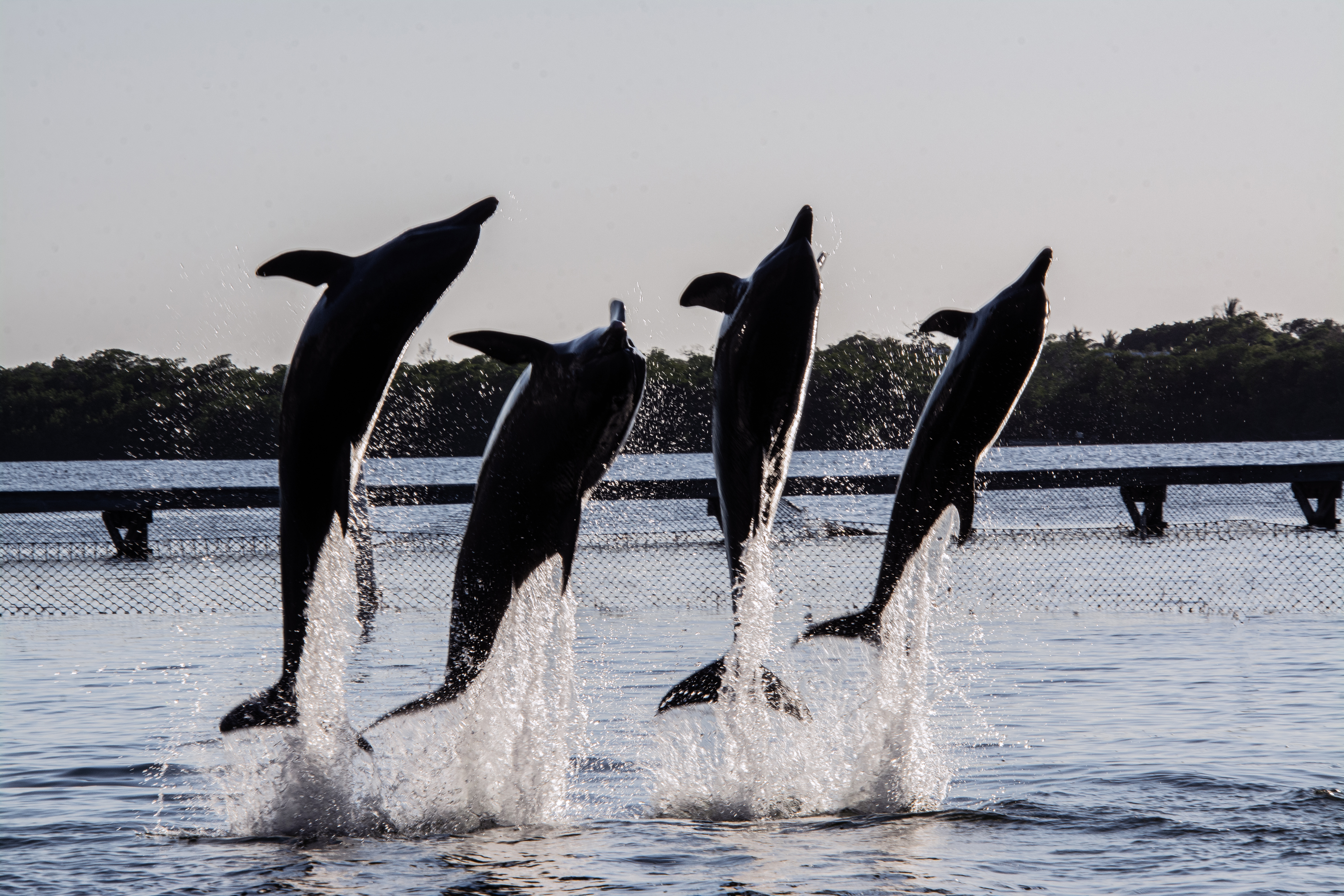 Image description here.