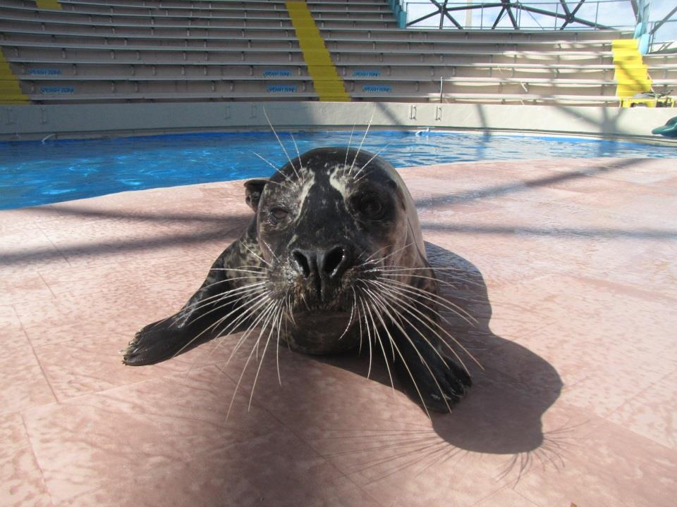 Image description here.