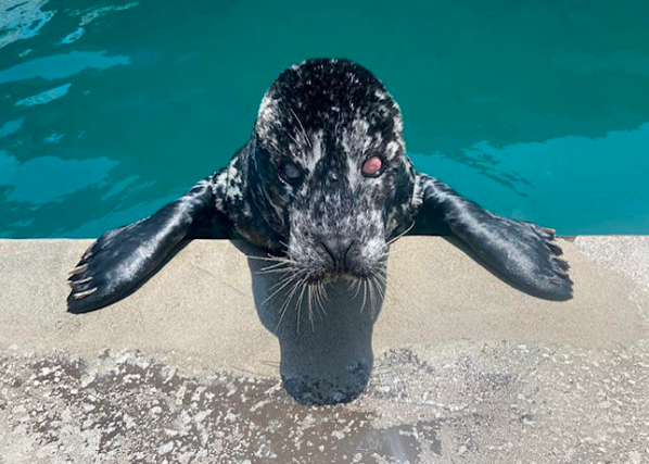 Image description here.