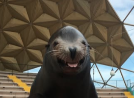 Image description here.