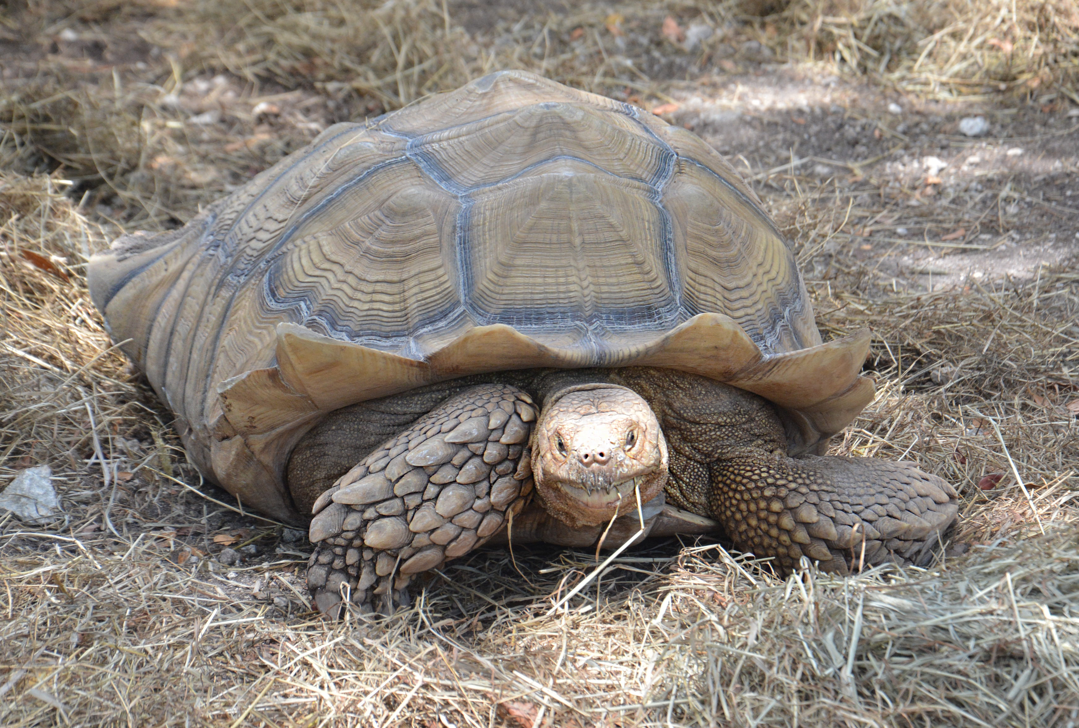 Image description here.