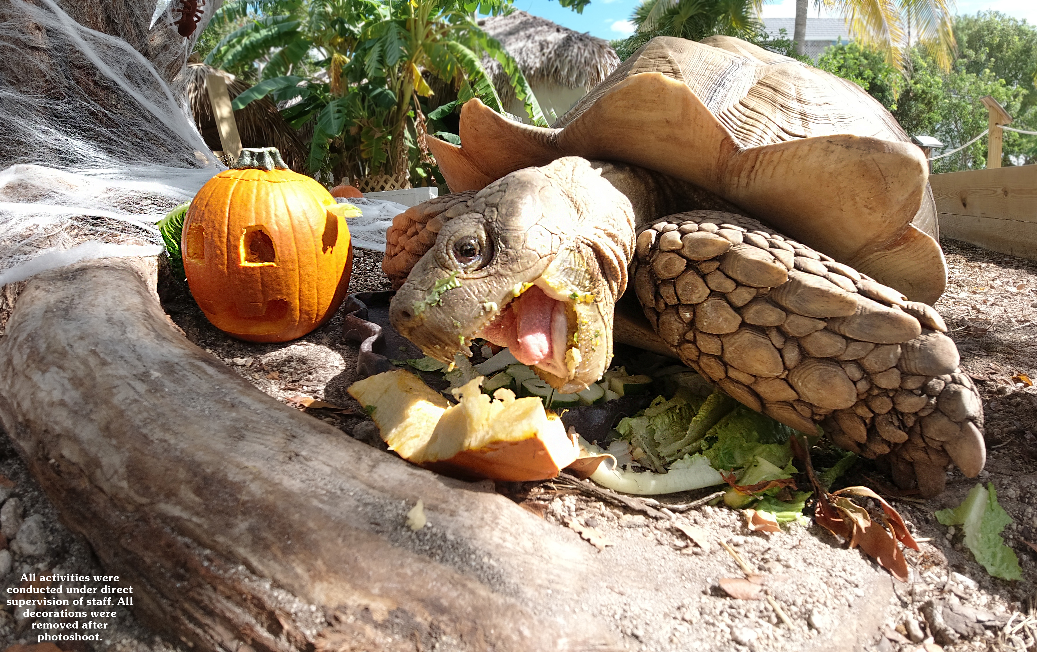 Image description here.