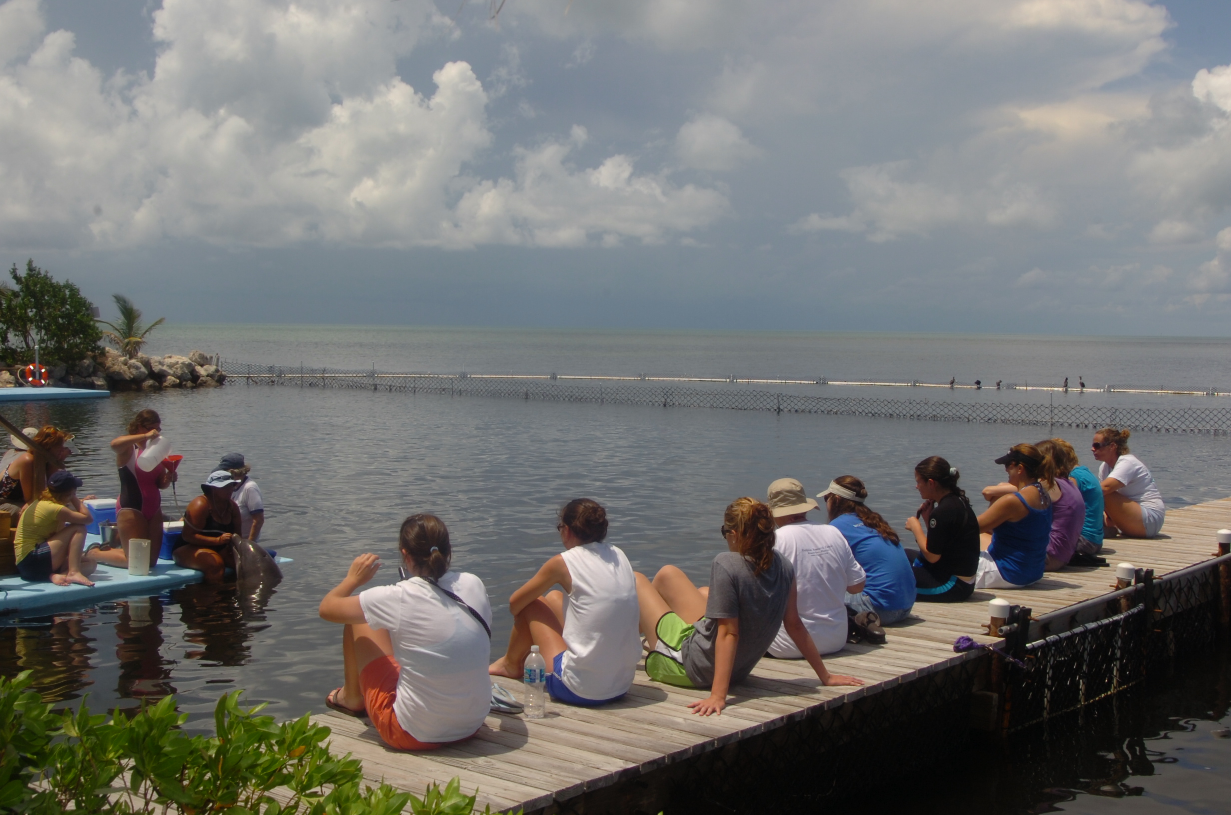 Image description here.