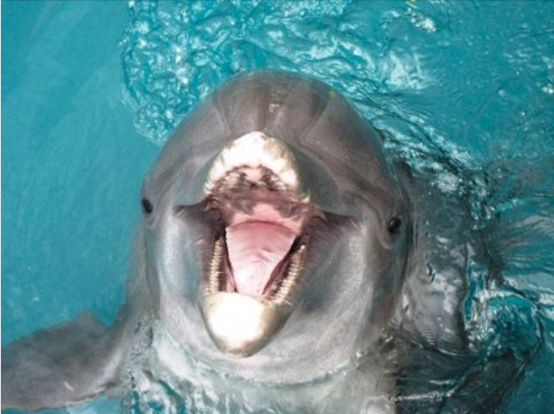 Image description here.