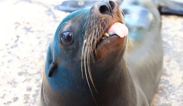 Image description here.