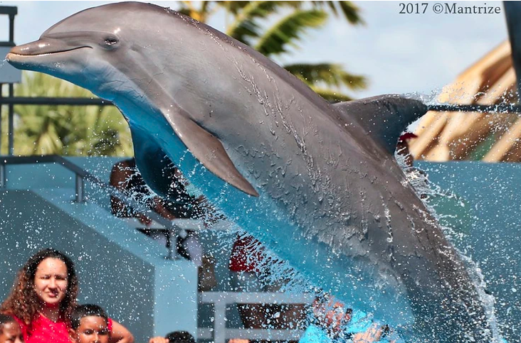 Image description here.