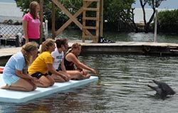 Image description here.