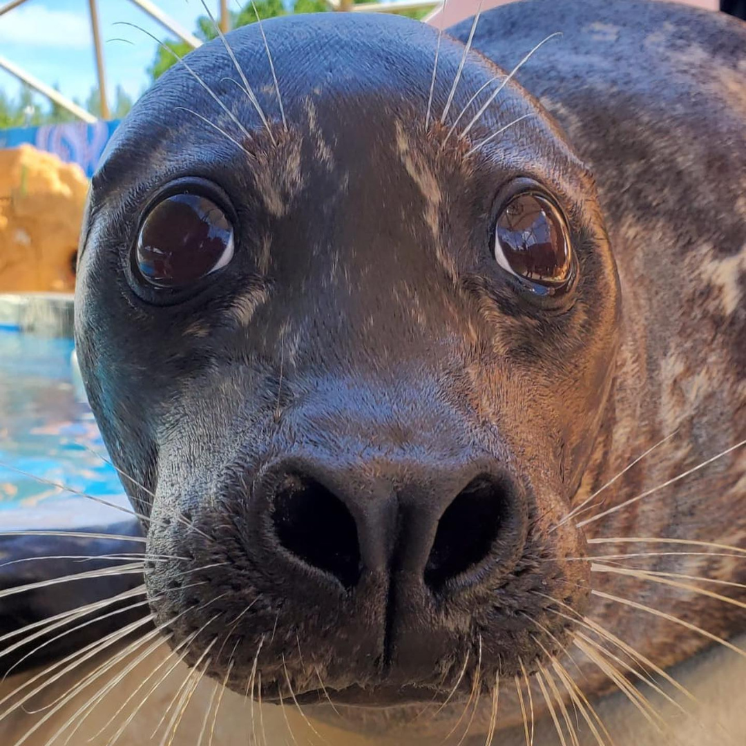 Image description here.