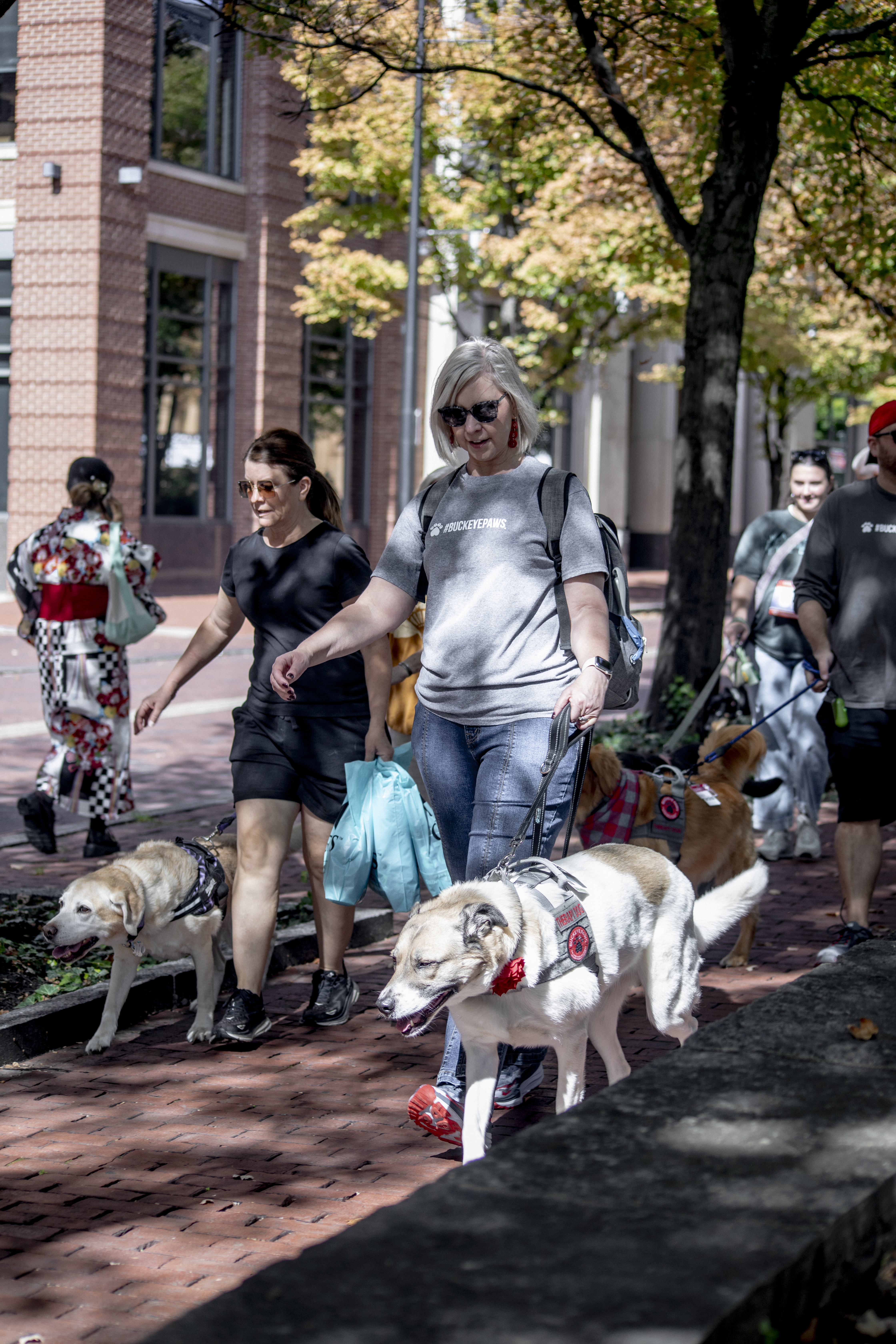Walkers and their dogs at the 2025 Walkin' the Dog