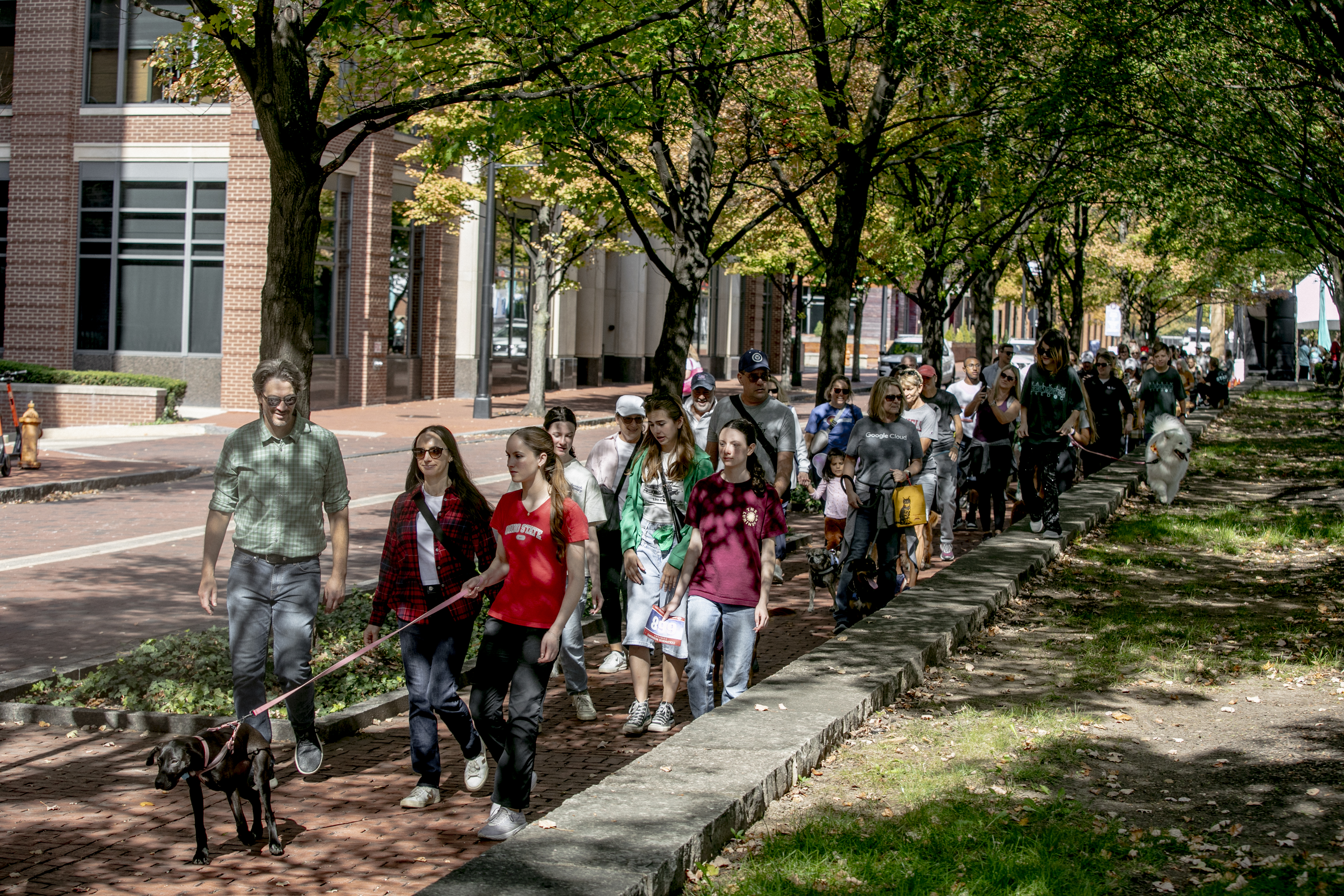 Walkers and their dogs at the 2025 Walkin' the Dog
