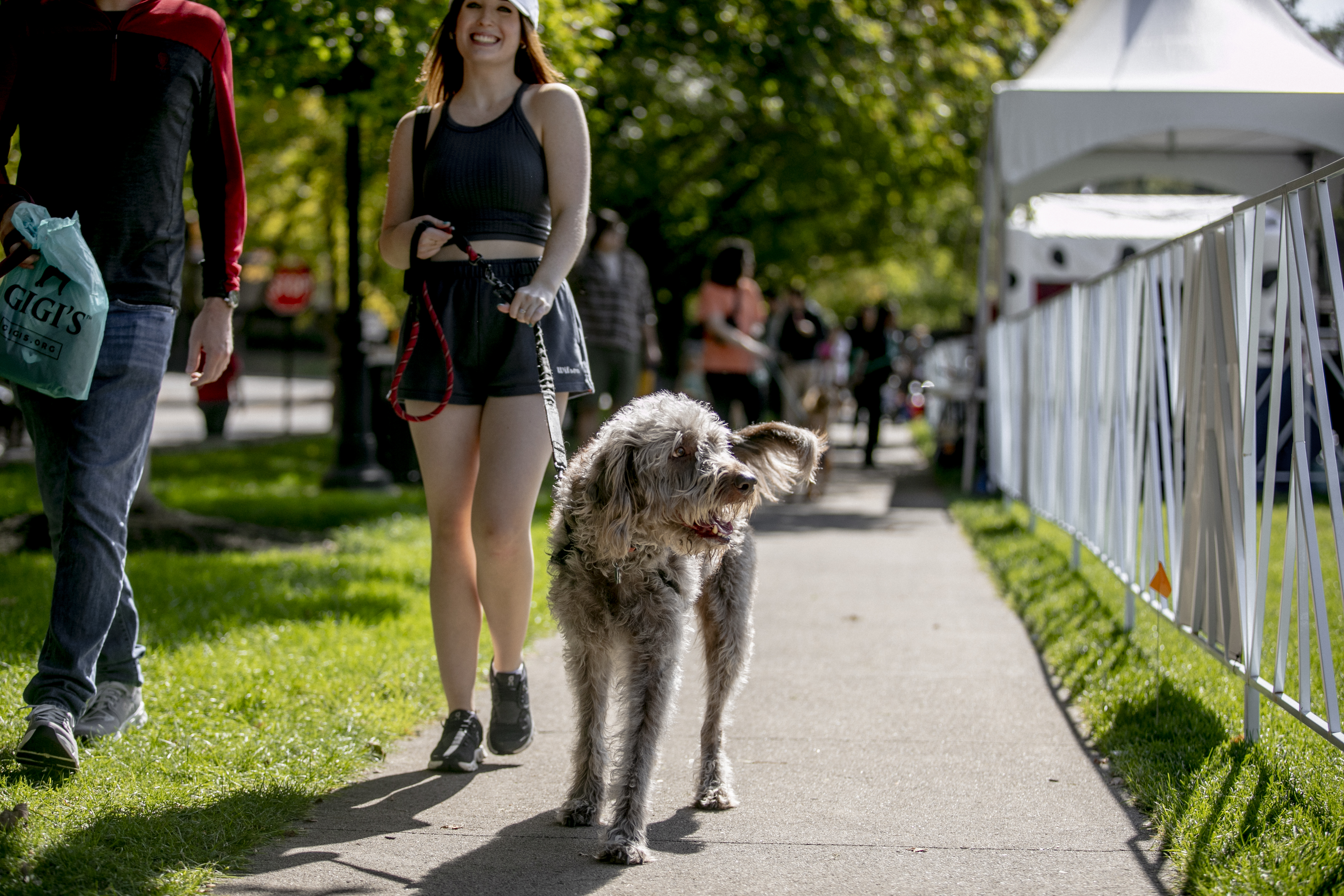 Walkers and their dogs at the 2025 Walkin' the Dog