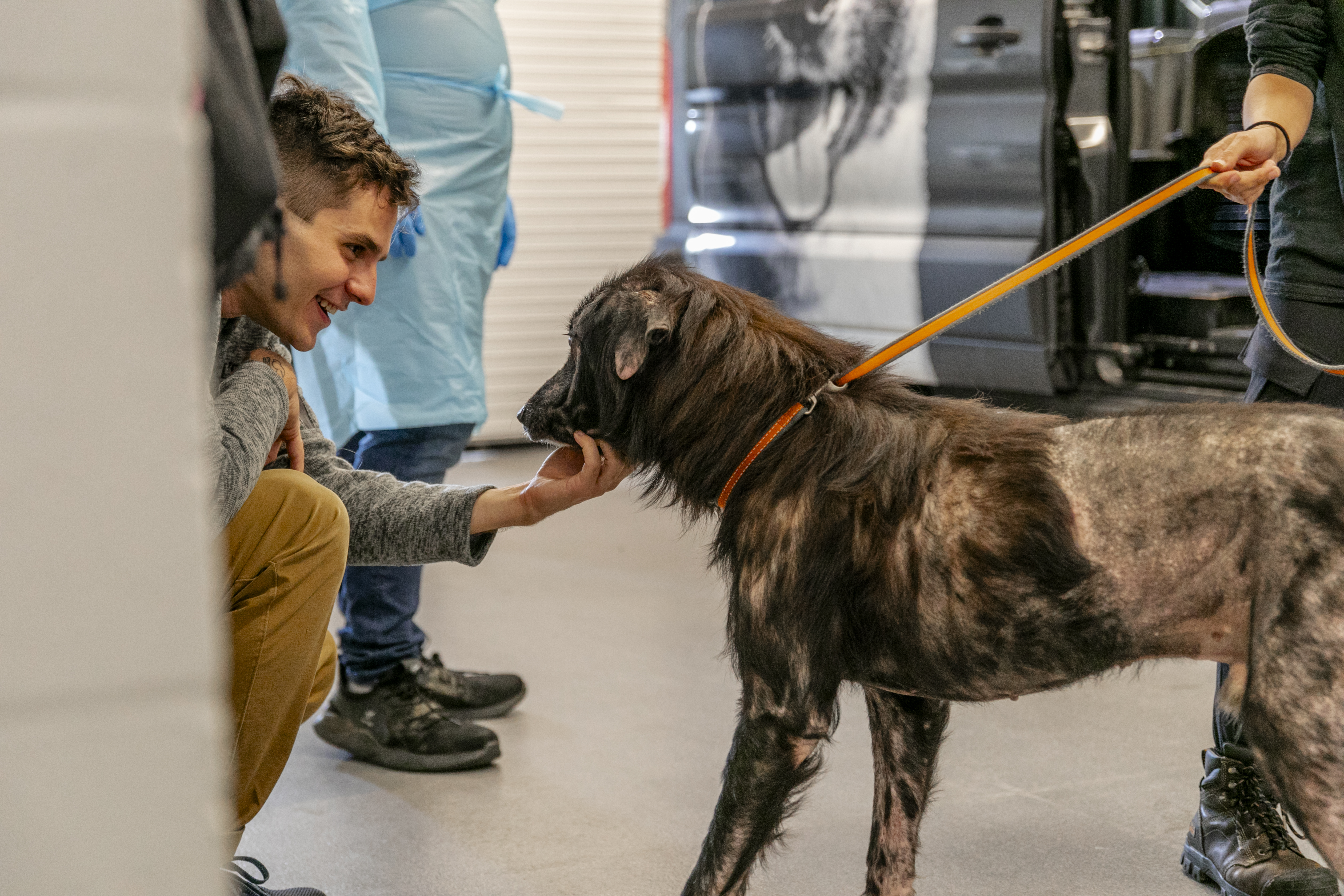A Gigi's team member greeting a dog arriving off the transport van