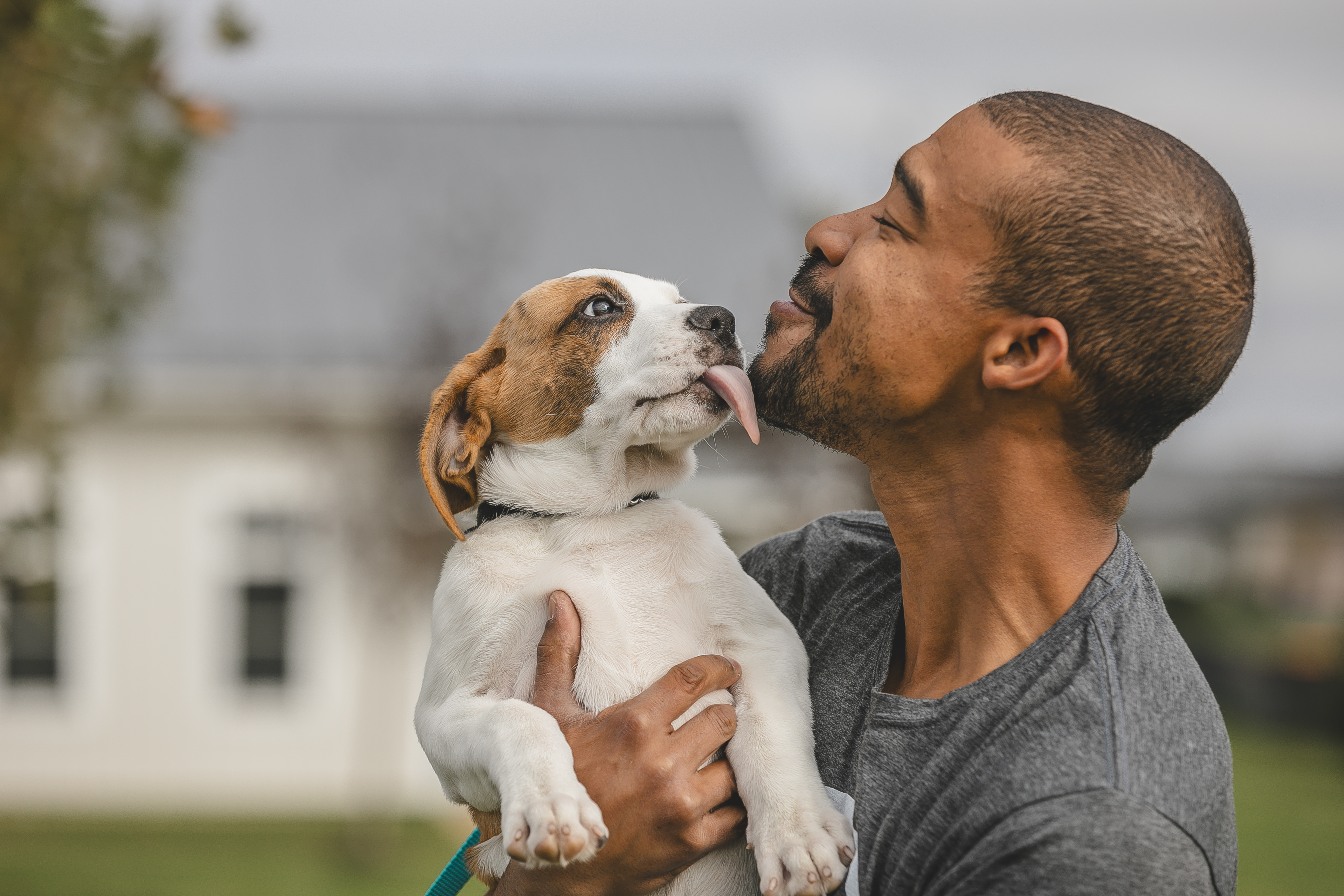 A man holding a puppy that is licking his face