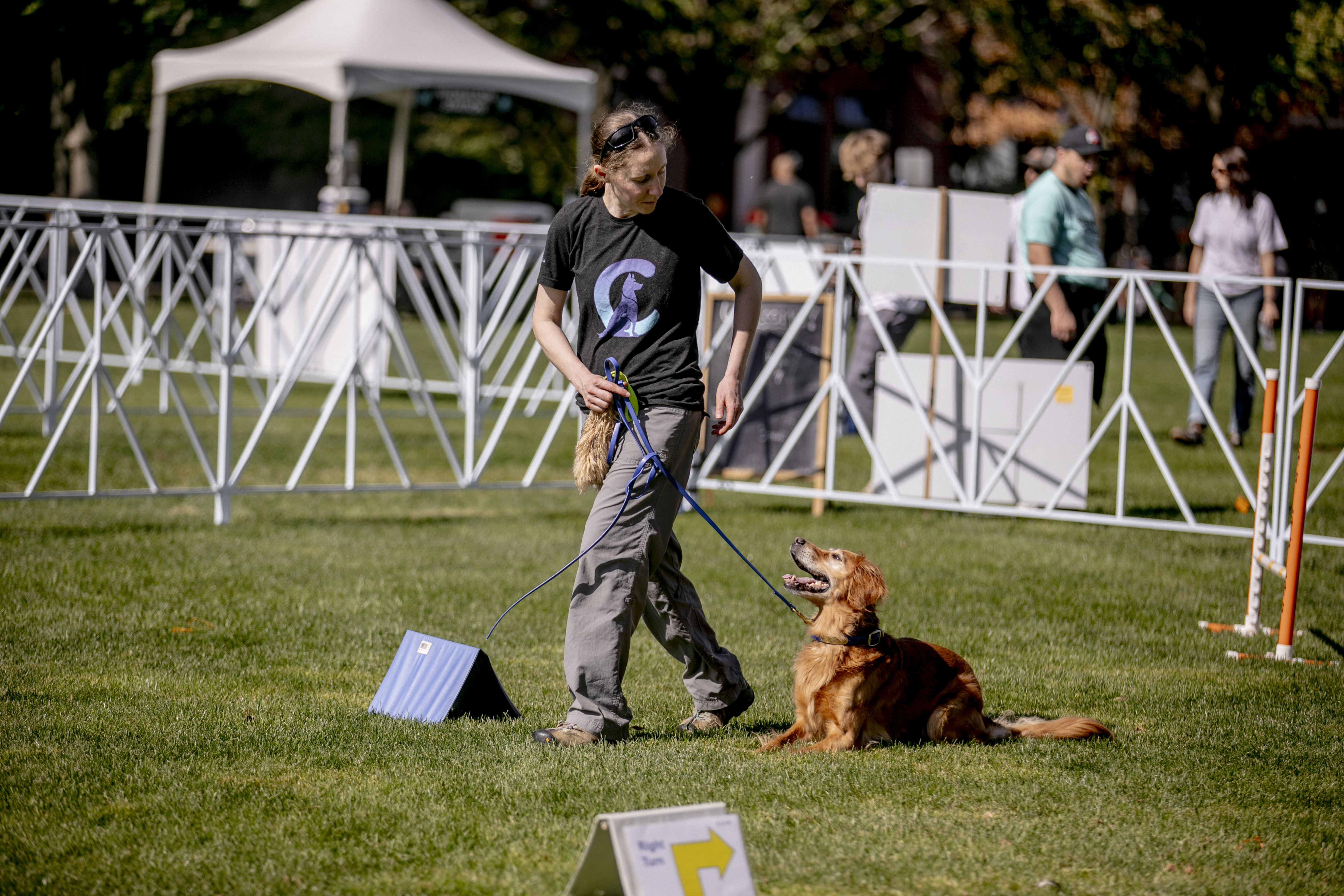A handler and a golden retriever during a training demo