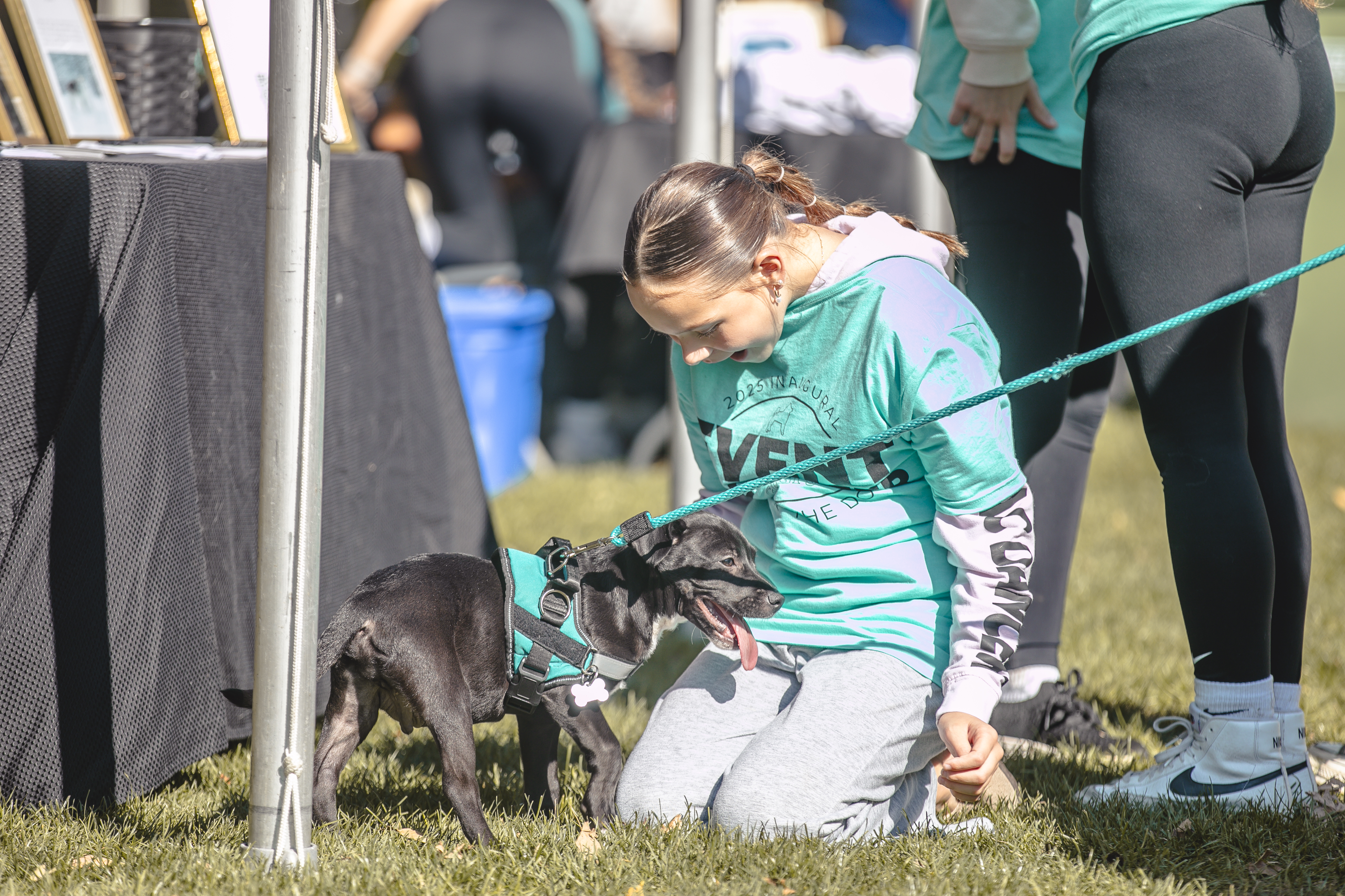 A young volunteer greeting a puppy on the grass