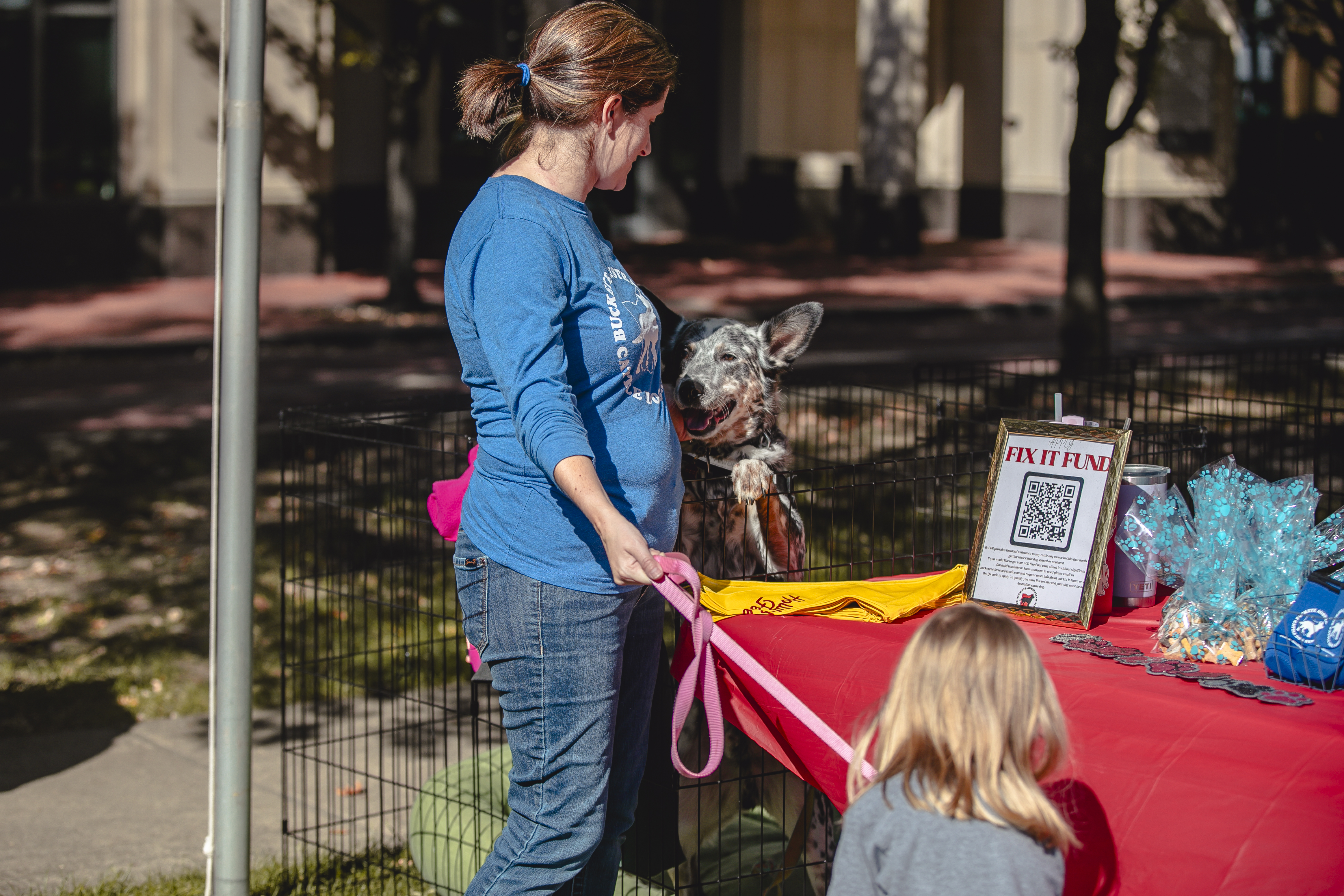 A rescue volunteer with an adoptable dog at her table