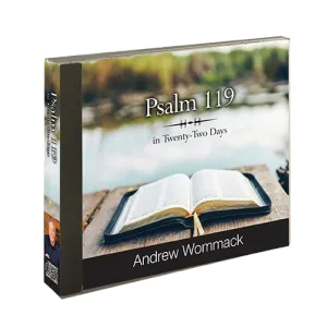 Psalm 119 in Twenty-Two Days