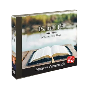 Psalm 119 in Twenty-Two Days