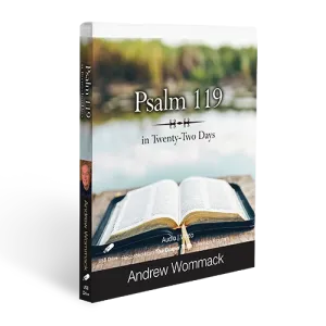 Psalm 119 in Twenty-Two Days