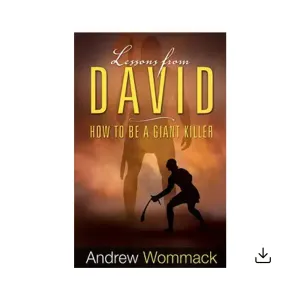 Lessons from David - eBook