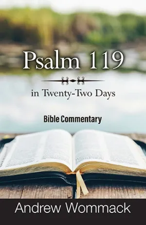 Psalm 119 in Twenty-Two Days