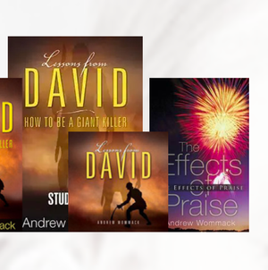 Lessons from David CD Bundle