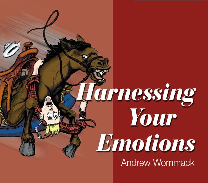 Harnessing Your Emotions — AWMC