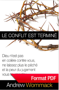 Le conflit est teminé - eBook