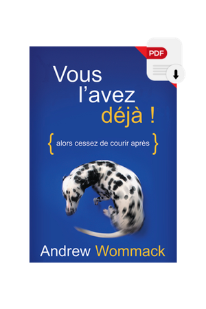 Vous l’avez déjà - eBook