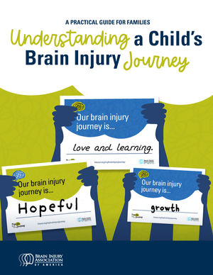 A Practical Guide for Families: Understanding A Child's Brain Injury Journey
