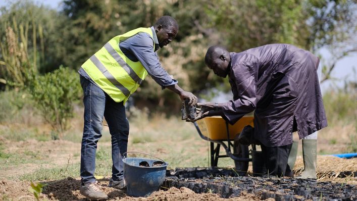 Help Elijah restore the Ecosystem around Lake Chad