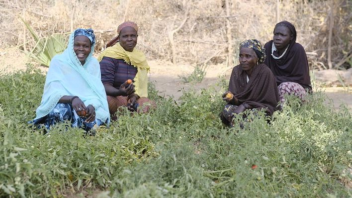United in Faith Ministry-Friends of Creation Campaign