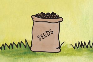 Seeds (Tiny Hearts)