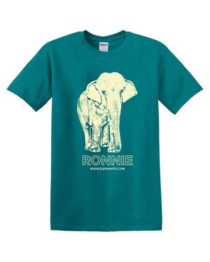 Ronnie T-Shirt (Antique Jade Dome)