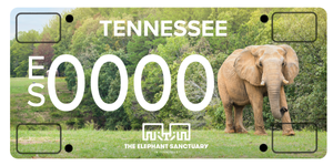 Tennessee License Plate