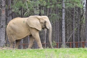 2026 Spring Campaign