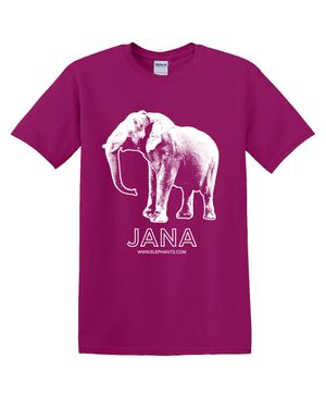 Jana T-Shirt (Berry)