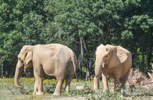 2025 Year End Campaign