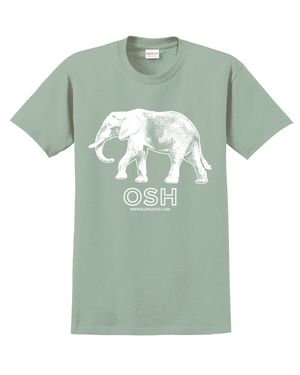 Osh T-Shirt (Bay)