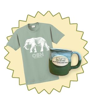 OSH T-Shirt & Handcrafted Sanctuary Logo Mug Gift Set